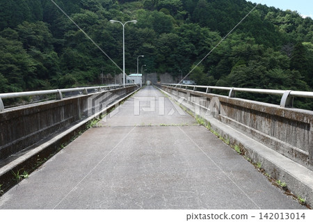岩村大壩 岩村大壩 142013014