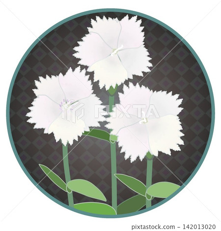 Illustration of a white dianthus with a circular background 142013020