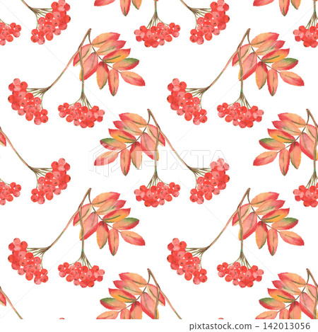 Watercolor rowan berry seamless pattern with autumn leaves Watercolor rowan berry seamless pattern with autumn leaves 142013056