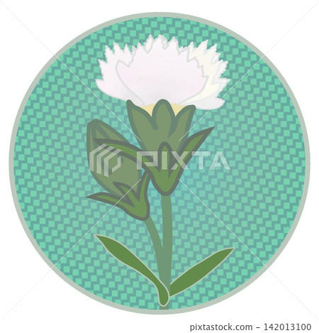 Illustration of a white dianthus with a circular background Illustration of a white dianthus with a circular background 142013100
