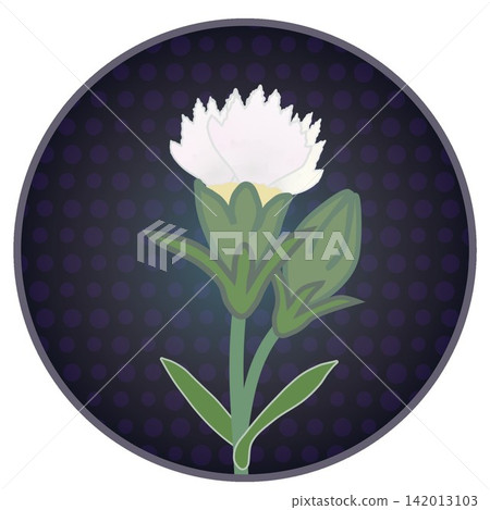 Illustration of a white dianthus with a circular background Illustration of a white dianthus with a circular background 142013103