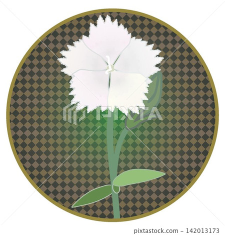 Illustration of a white dianthus with a circular background Illustration of a white dianthus with a circular background 142013173
