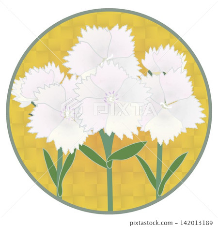 Illustration of a white dianthus with a circular background Illustration of a white dianthus with a circular background 142013189