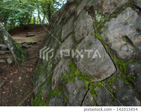 Mossy stone wall Mossy stone wall 142013854