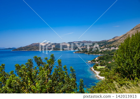 Coastal landscape with sea and cypress tree 142013913