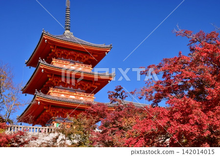 京都清水寺,周圍環繞著秋葉。 京都清水寺,周圍環繞著秋葉。 142014015