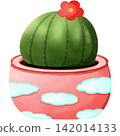The cactus on pink pot 142014133