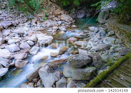 [Stream fishing material] Summer in Kakizono Valley [Nagano Prefecture] 142014149