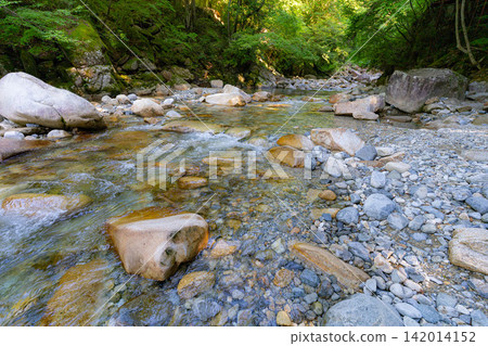 [Stream fishing material] Summer in Kakizono Valley [Nagano Prefecture] 142014152