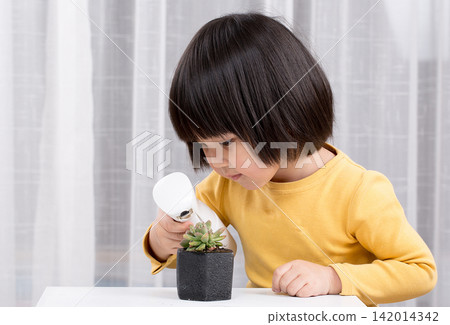 Cute child spraying water on succulent plants with a spray bottle indoors 142014342