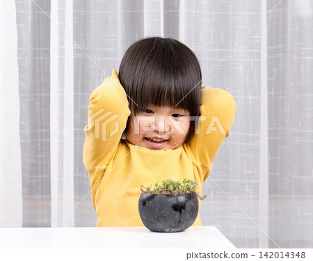 Cute child spraying water on succulent plants with a spray bottle indoors 142014348