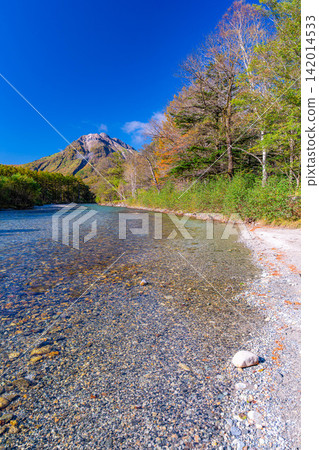 【上高地的秋葉】上高地的秋天:梓川和燒山【長野縣】 【上高地的秋葉】上高地的秋天:梓川和燒山【長野縣】 142014533
