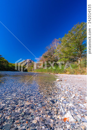 【上高地的秋葉】上高地的秋天:梓川和燒山【長野縣】 【上高地的秋葉】上高地的秋天:梓川和燒山【長野縣】 142014535