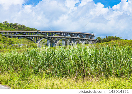 The continuous arch bridges of the Okinawa Expressway and the lush green landscape The continuous arch bridges of the Okinawa Expressway and the lush green landscape 142014551