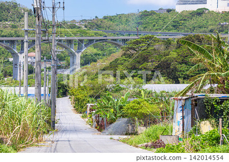 鬱鬱蔥蔥的鄉村景觀和高架公路是交通基礎設施的一部分。 鬱鬱蔥蔥的鄉村景觀和高架公路是交通基礎設施的一部分。 142014554