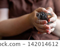 Gloved hands holding a tiny fluffy fancy rat close up view 142014612