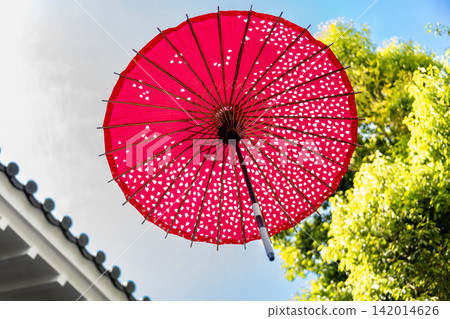 A dancing umbrella soaring through the air 142014626