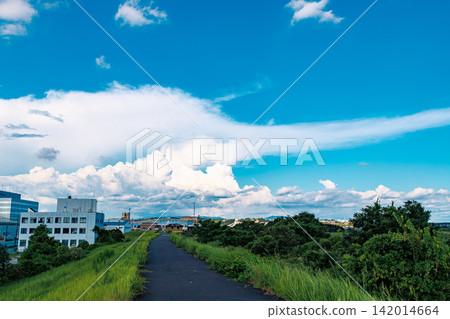 河岸景色,夏日藍天,高聳的積雨雲。 河岸景色,夏日藍天,高聳的積雨雲。 142014664