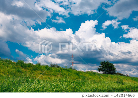 A riverbank landscape with a summer blue sky and towering cumulonimbus clouds. 142014666