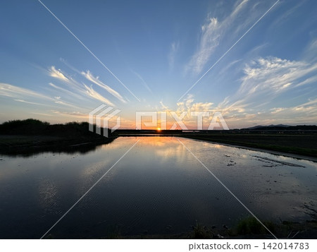 Rice paddies before planting and the sunset Rice paddies before planting and the sunset 142014783