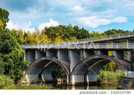 A beautiful arched concrete bridge surrounded by blue skies and lush greenery. A beautiful arched concrete bridge surrounded by blue skies and lush greenery. 142014796