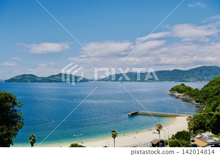 夏天的海灘 夏天的海灘 142014814