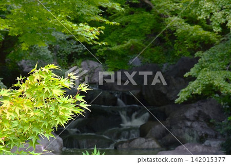 景觀與綠色 景觀與綠色 142015377