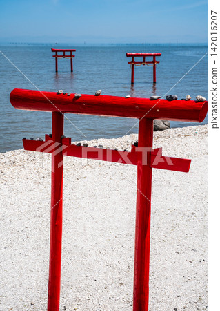 Ogyo Shrine's underwater torii gate at high tide [Tara-cho, Fujitsu-gun, Saga Prefecture] 142016207