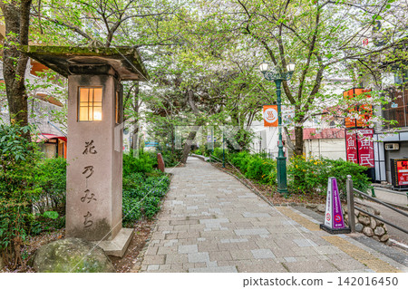 "Hana no Michi", the road leading to Takarazuka Grand Theater in Takarazuka City, Hyogo Prefecture 142016450