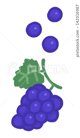 Color illustration of a bunch of grapes and individual grapes Color illustration of a bunch of grapes and individual grapes 142016987