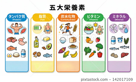 Image of the 5 major nutrients Image of the 5 major nutrients 142017109