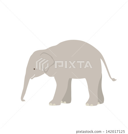 Simple and cute vector illustration of a baby Asian elephant Simple and cute vector illustration of a baby Asian elephant 142017125