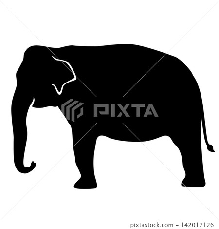 Simple silhouette illustration of an Asian elephant Simple silhouette illustration of an Asian elephant 142017126