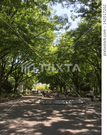 人們在清新的綠色公園散步 142017202
