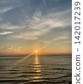 Setting sun 142017239