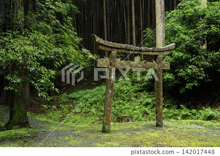 我拍攝了位於京都府龜岡市西別院町犬野的靜謐的松尾神社。 我拍攝了位於京都府龜岡市西別院町犬野的靜謐的松尾神社。 142017448
