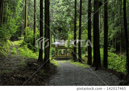I photographed the tranquil Matsuo Shrine located in Inukano, Nishibetsuin-cho, Kameoka City, Kyoto Prefecture. I photographed the tranquil Matsuo Shrine located in Inukano, Nishibetsuin-cho, Kameoka City, Kyoto Prefecture. 142017465