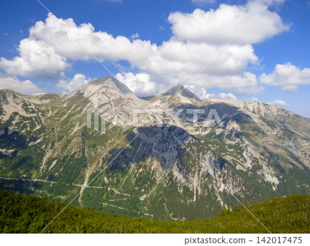 Pirin Mountains National Park Bulgaria green alpine evergreen pine forest, Bansko Pirin Mountains National Park Bulgaria green alpine evergreen pine forest, Bansko 142017475