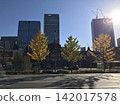 The golden ginkgo trees lining the street and the Marunouchi building of Tokyo Station. 142017578