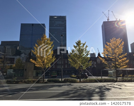 The golden ginkgo trees lining the street and the Marunouchi building of Tokyo Station. The golden ginkgo trees lining the street and the Marunouchi building of Tokyo Station. 142017578