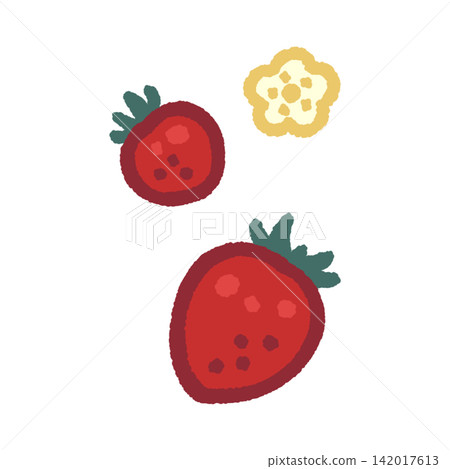 色彩鮮豔的草莓和草莓花插圖 色彩鮮豔的草莓和草莓花插圖 142017613
