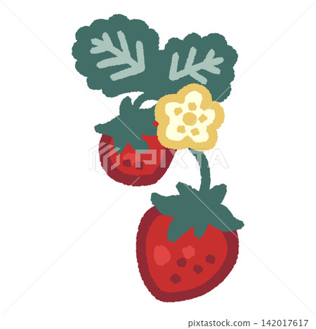 草莓莖上的彩色插圖 草莓莖上的彩色插圖 142017617