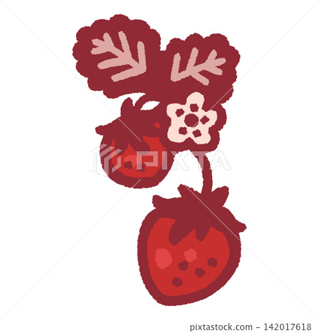 Color illustration of strawberries on a stem Color illustration of strawberries on a stem 142017618