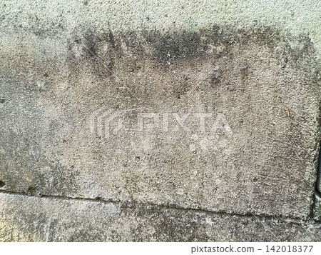 bark of tree bark of tree 142018377