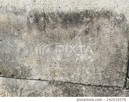 bark of tree bark of tree 142018378