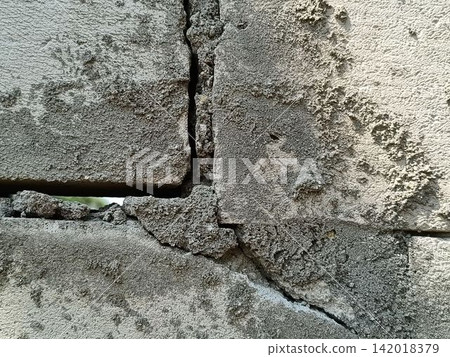 bark of tree bark of tree 142018379