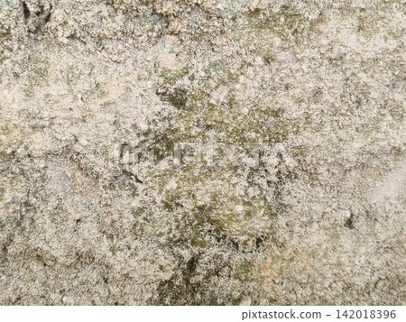 bark of tree 142018396