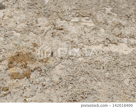bark of tree bark of tree 142018400