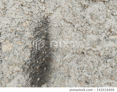 bark of tree bark of tree 142018409