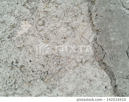 bark of tree 142018410